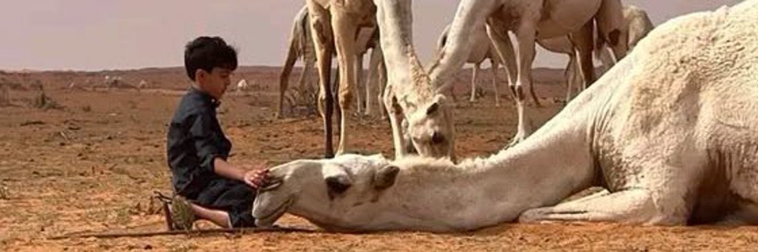 AL-Otaibi🌷 banner