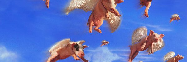 TheFlyingPig00 Profile Banner