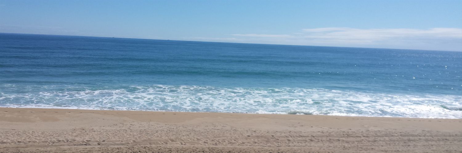 Núria de la Fuente banner