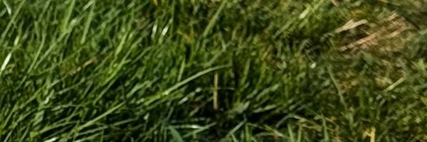 hustlerslavic Profile Banner