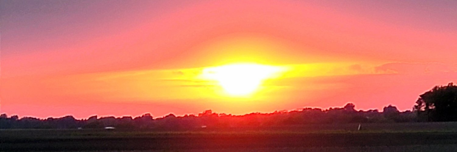 CeleneHarrelson's profile banner image