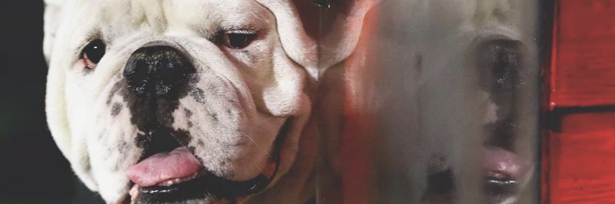 breezybee17's profile banner image