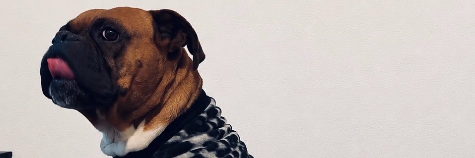Milipe1's profile banner image