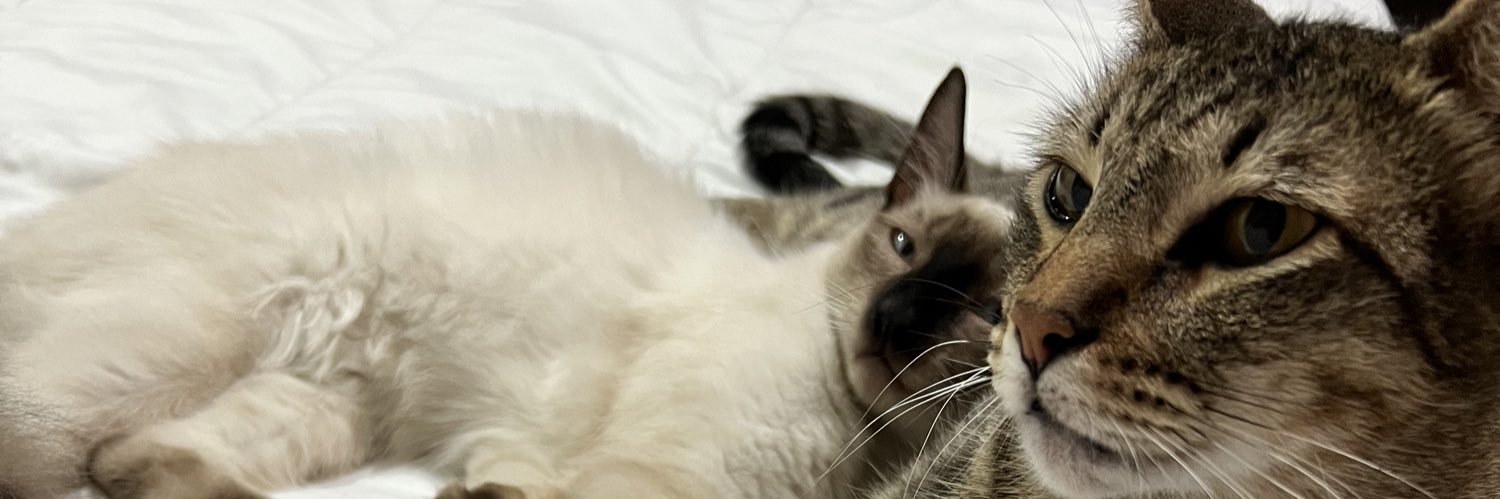 mareallou's profile banner image
