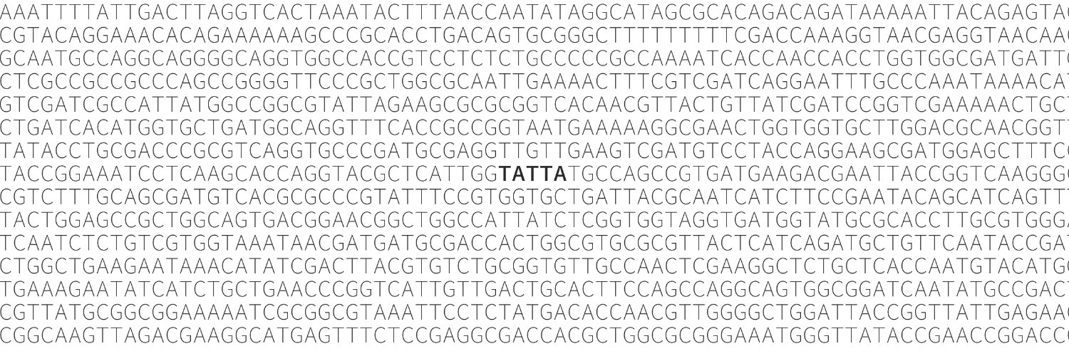 Tatta Bio's banner
