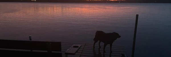 TedPerryFox6 Profile Banner