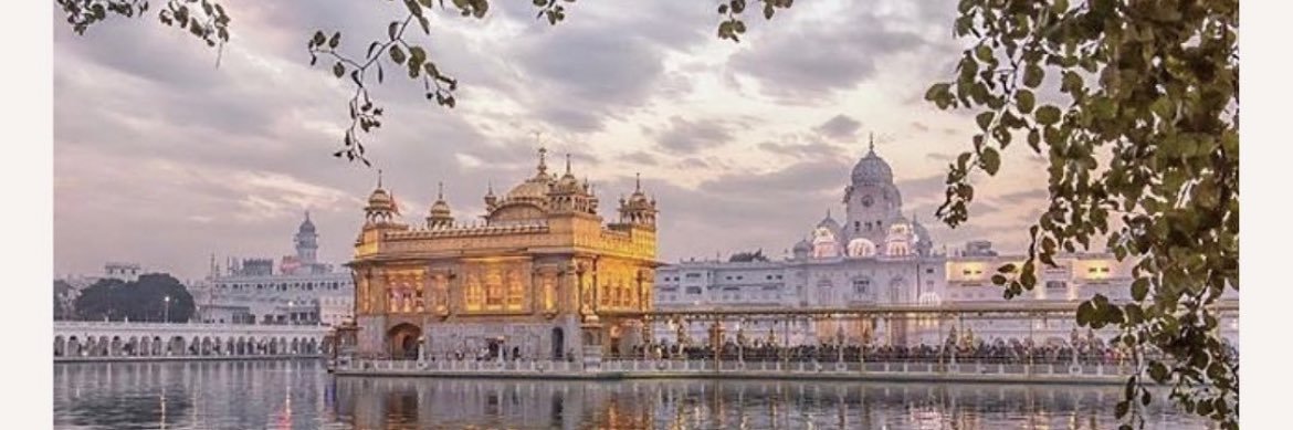 simran_johal's profile banner image