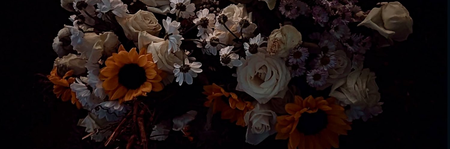ᥫ᭡ 𝓥𝓪𝓷𝓮 ᥫ᭡ banner
