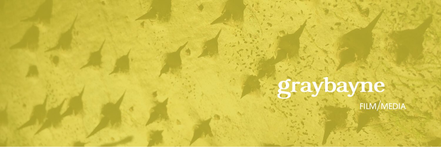 graybayne's profile banner image