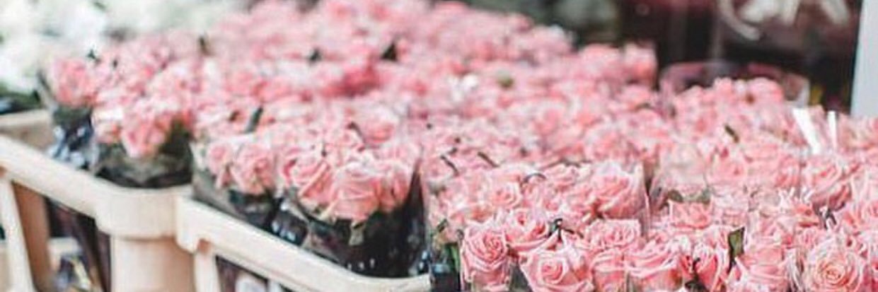 sibyl_v's profile banner image