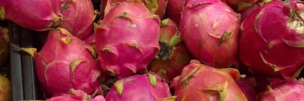 PanchVarela Profile Banner