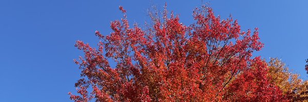 nk00ski Profile Banner