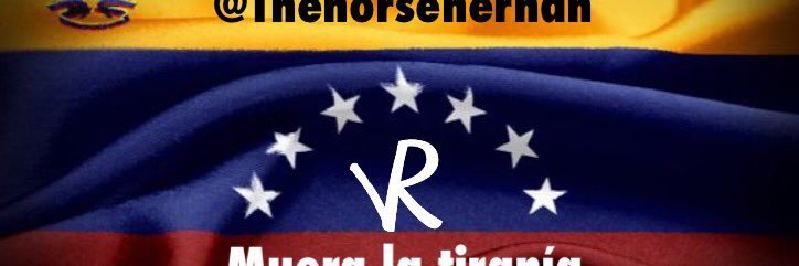 thehorsehernan's profile banner image