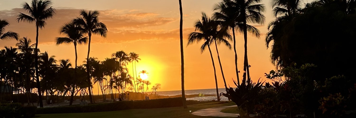 David Emanuel 🦞 banner