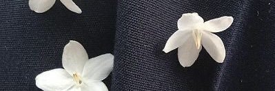 ay banner
