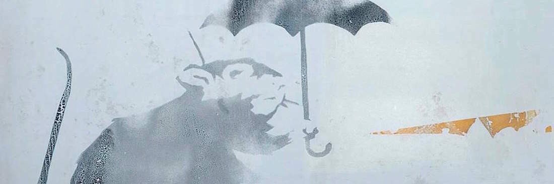 DMuzquiz's profile banner image