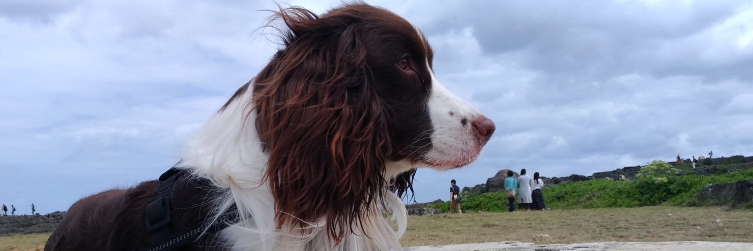 Orian Holliday banner