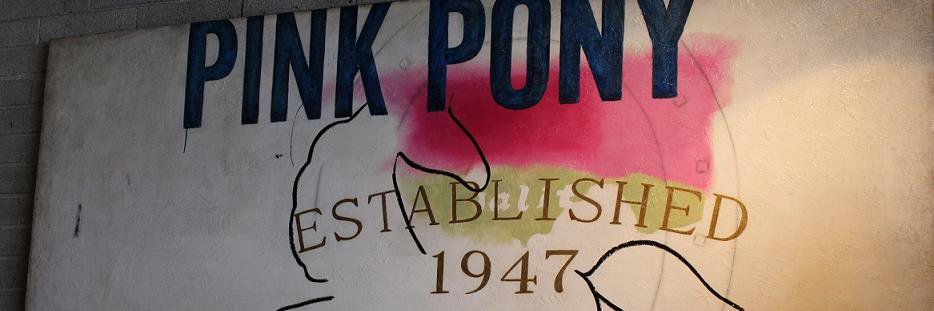 PinkPonyAZ's profile banner image
