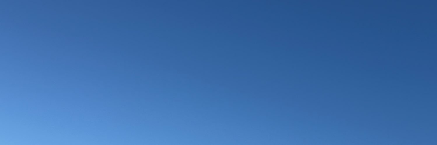 さくらえびパイセン（3級法律士） banner