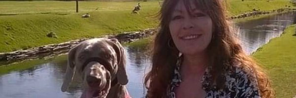 Firefly070 Profile Banner