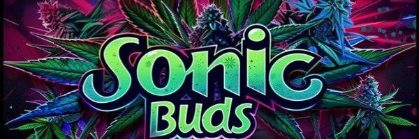 SONIC_CHRONICS Profile Banner