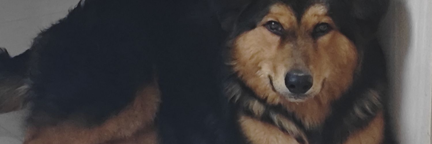 翻你家窗户特别高叹气's banner