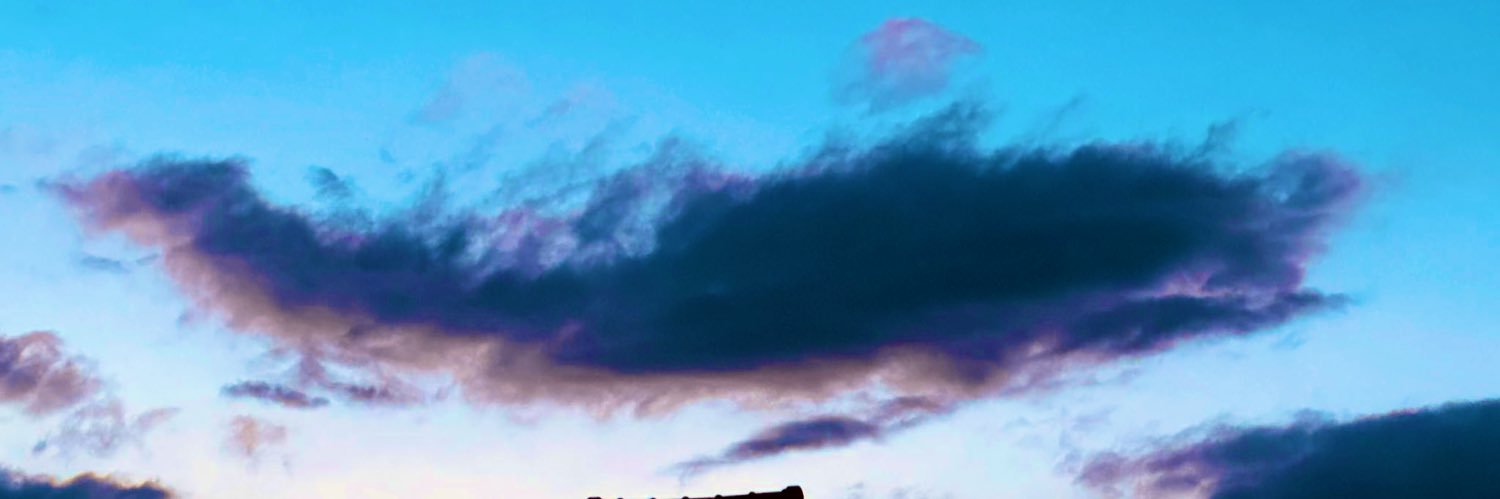 🍌 𝘉ₐₙₐₙₐ's banner