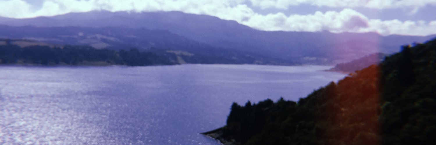 davidborraez's profile banner image