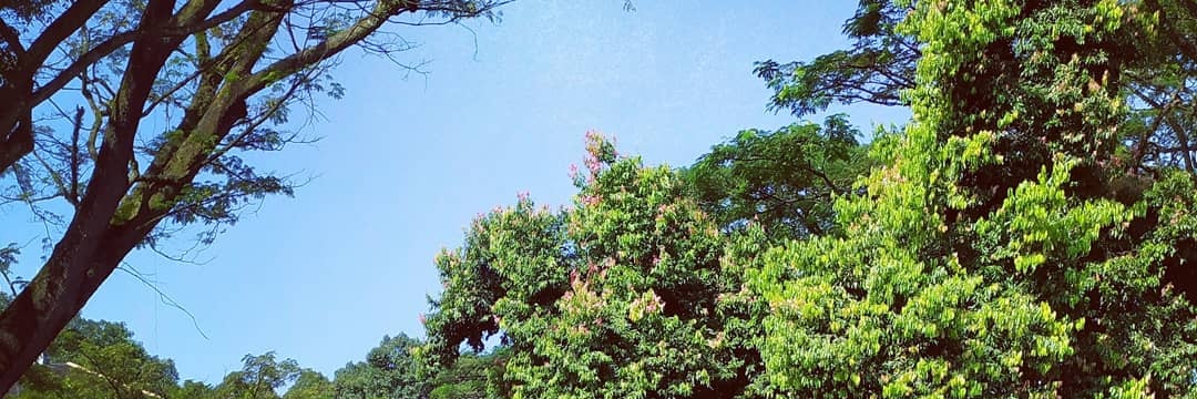 dnnsnh's profile banner image