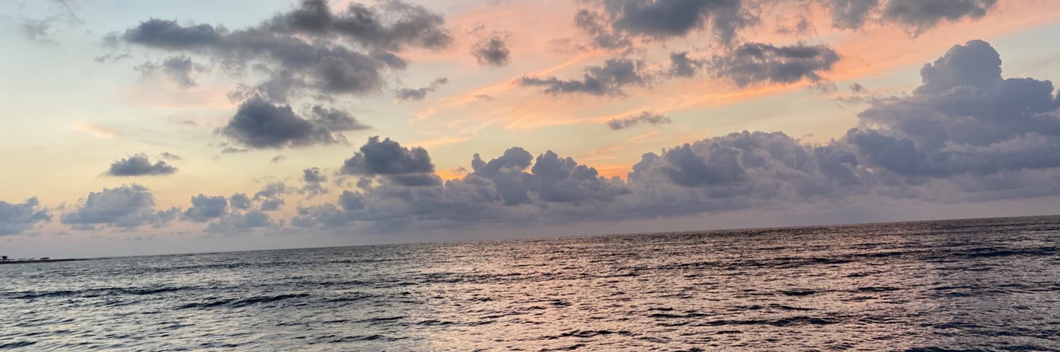 andieBlueberry's profile banner image