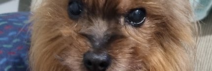 jhonpcs's profile banner image