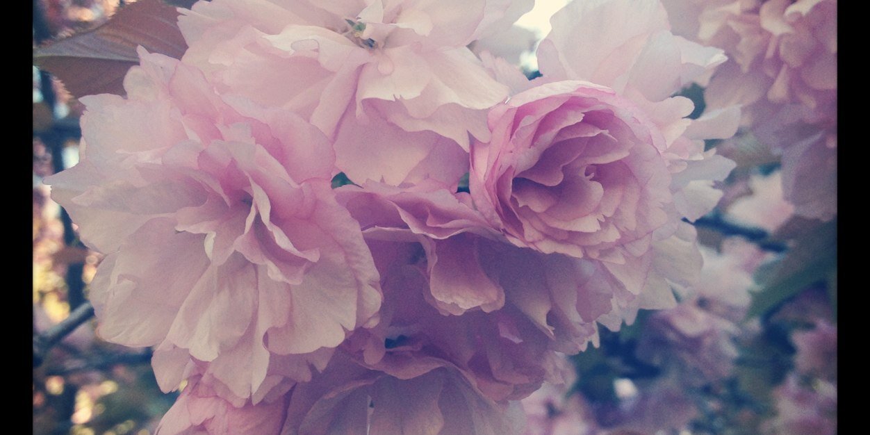 LittleGirlGray's profile banner image