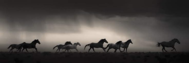 زمهرير امرأة .. banner