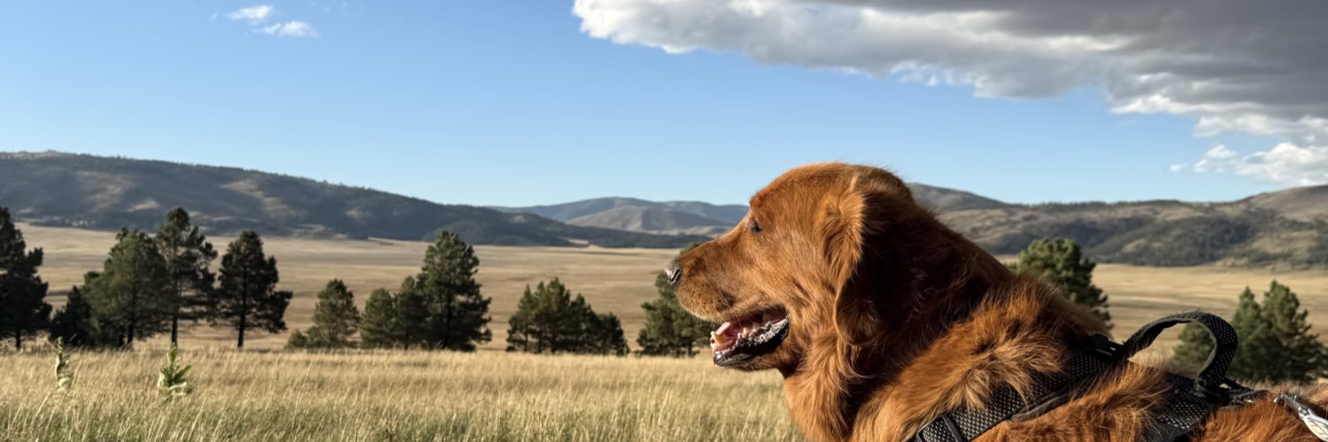 rtoy7_'s profile banner image