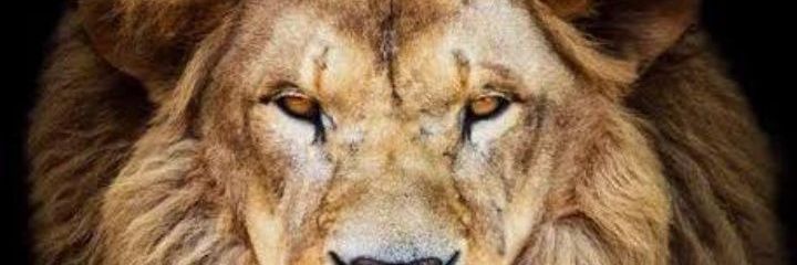 jorgetiso's profile banner image
