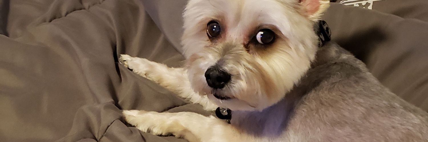 JennGalindo1's profile banner image
