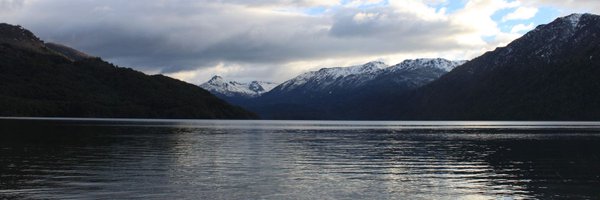 romanbrutti Profile Banner