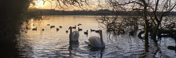 MarieGwynbleidd Profile Banner