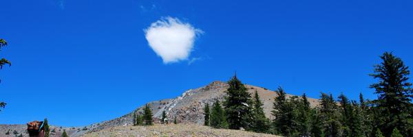 kat4gators Profile Banner