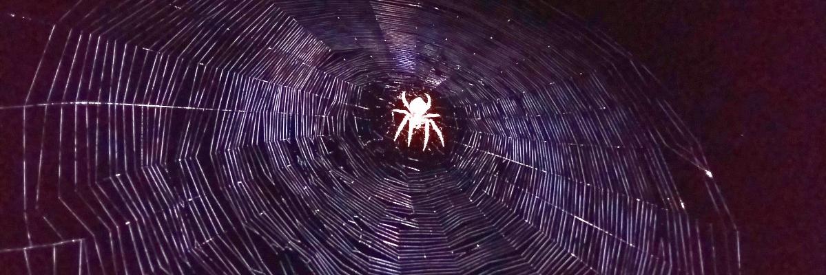 strangemans's profile banner image