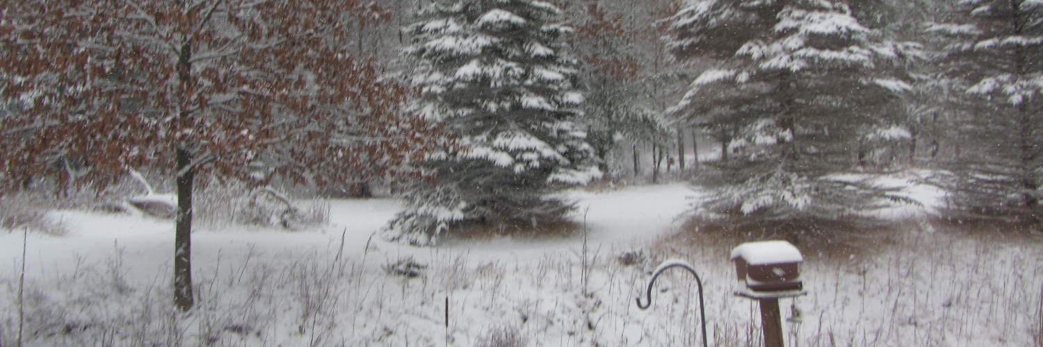 Dan Farison banner