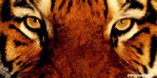 0Firas's profile banner image