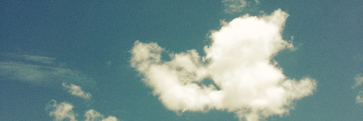 Brunasaiter's profile banner image