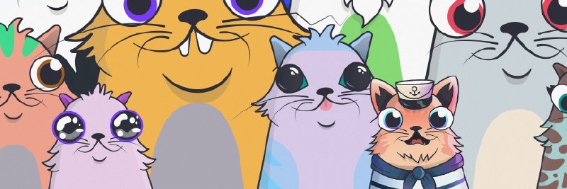 BizamaGenz's profile banner image