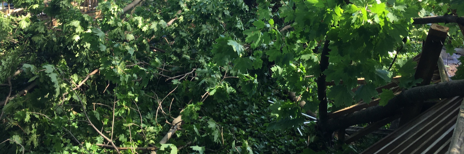 snappyaunt1's profile banner image