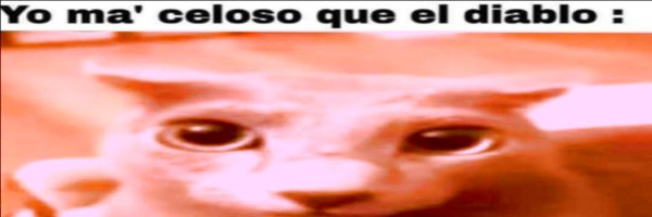 bmblbsareout Profile Banner