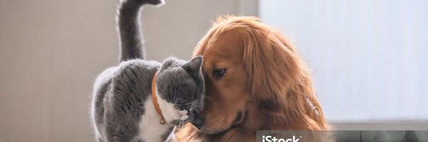 HoovesPlus64870 Profile Banner
