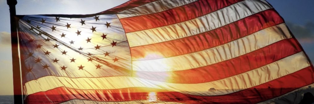 Ree4Freedom banner