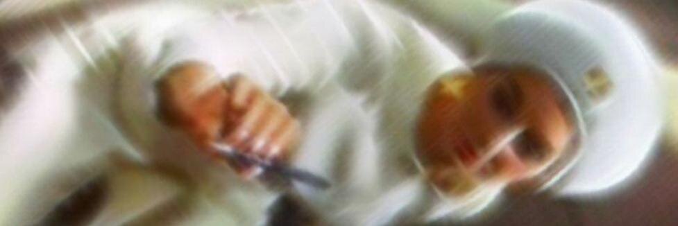 Henning Lobin banner