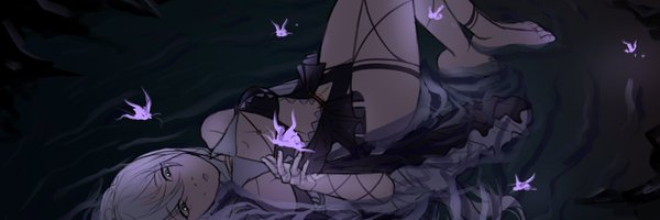 MeirenVT Profile Banner